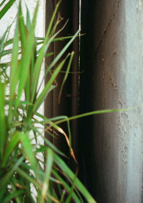 すきま11