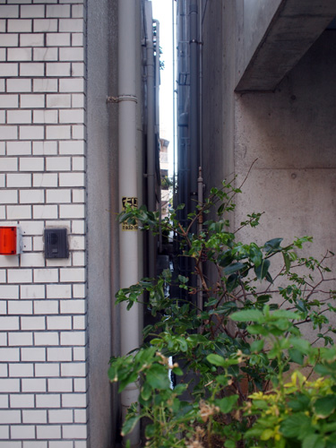 すきま49