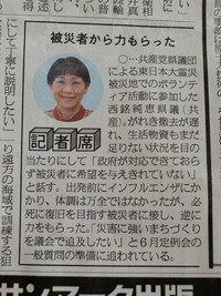 琉球新報の記事