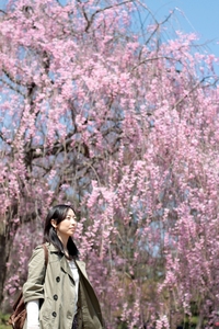 帰郷桜色