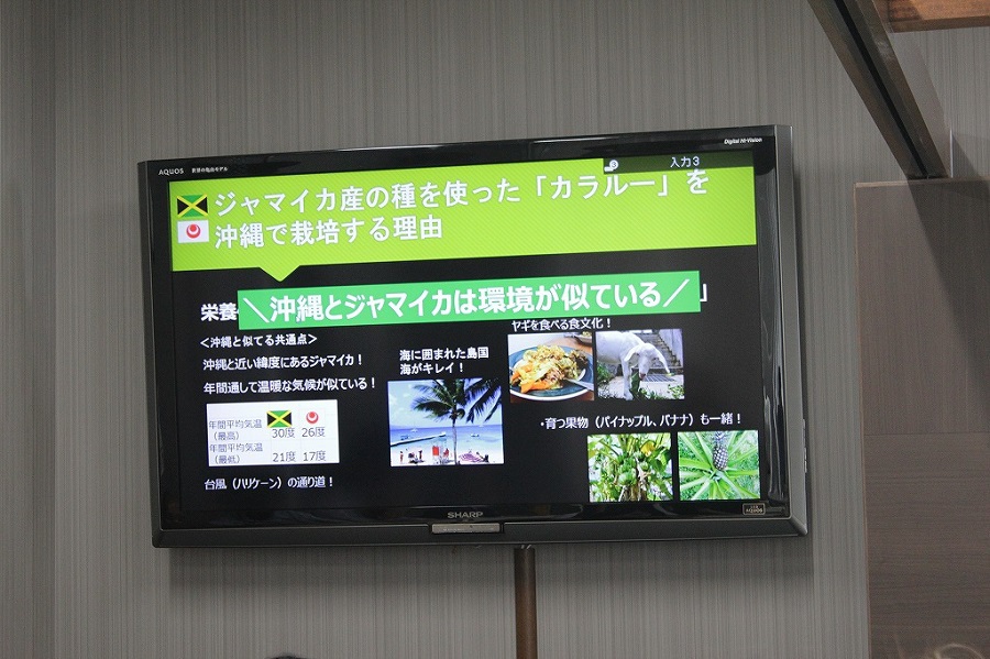 第2回カラルー試食会