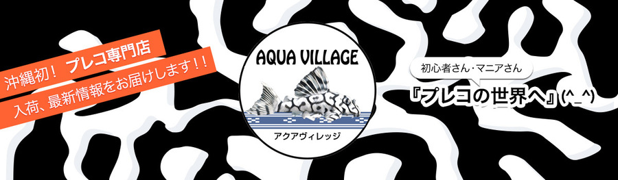 アクアヴィレッジ
