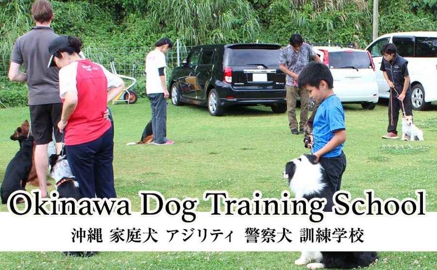 沖縄 家庭犬 アジリティ 警察犬 訓練校