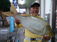 安次嶺淳さん糸満釣り筏☆良型タマン６１㎝・３㎏Ｕｐフカセ釣果(^O^) 2019/01/01 00:00:00