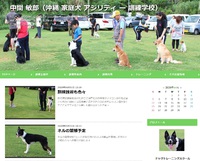 【沖縄ドックトレーニングスクール】今までの取り組みが後押しして安定した集客・売上増のドックスクール 2020/04/02 07:56:12