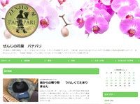 【てぃーだビジネスサービス】那覇市前島にある幸せ配達人の花屋「ぜんじの花屋 パナパリ」ブログが公開しました。 2018/08/22 19:58:25