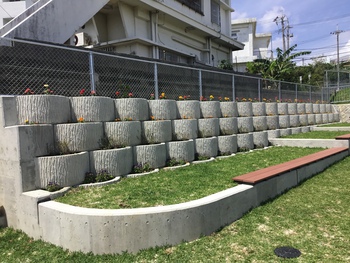 沖縄市の公園に！！