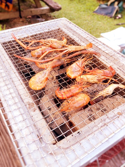 夏の思い出^ ^