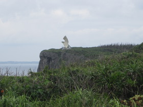 伊良部島 展望スポット 展望台