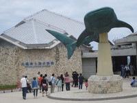 沖縄美ら海水族館、世界最大級の大水槽に大興奮！