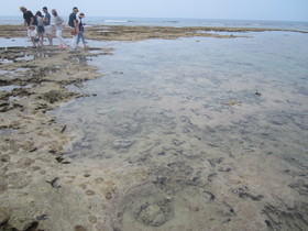 古宇利島のハートロック、嵐の「JAL先得CM」ロケ地で有名になった恋島ティーヌ浜のハート岩、嵐のおかげで超人気スポット！