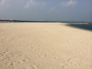 ☆泡瀬埋立現場視察☆