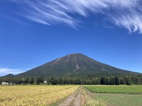 第5章：再び笑顔を取り戻して