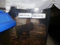 遠征に行く前に