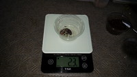 多頭飼育に移行！