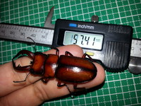 トカラ　Pr開始！！！