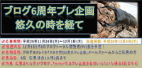 チョネさんとこでプレ応募始まってますよ！！！