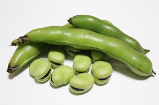 野菜ソムリエと行く！空豆収穫体験