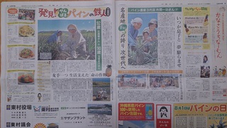 「食べくらベジ講座①パイン」のご報告