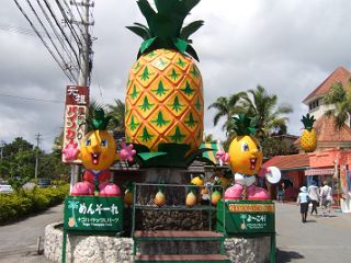 やっと天気が良くなりました～