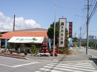 やっと天気が良くなりました～