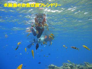 今日の水納島＆瀬底島マリンスポーツ