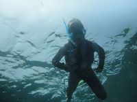 沖縄マリンスポーツ人気の水納島ツアー