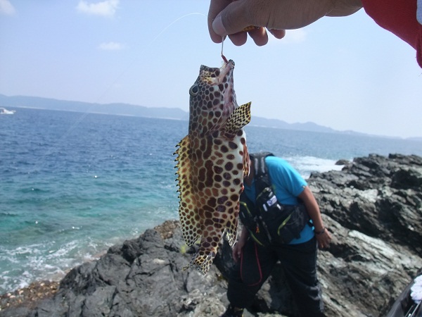 リヴェンジ成功！