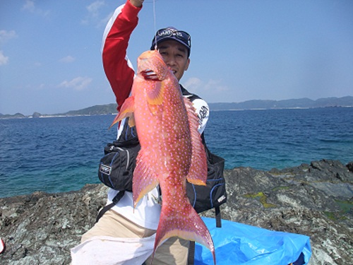リヴェンジ成功！