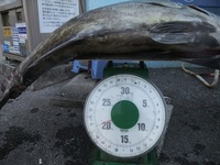 リヴェンジ成功！