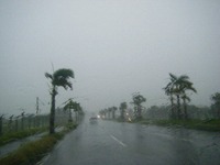 台風ぅ～！！！ 2012/08/05 18:00:00