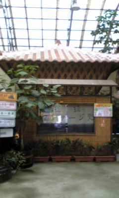 琉球村♪♪