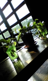 ★茶話館★