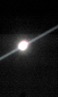 ☆夜のお散歩☆