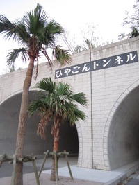 *~ここと旦那様と朝日~*