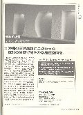 ヒットの予感　記事