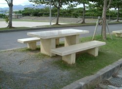 琉球石灰岩擬石
