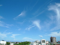 沖縄の美しい空をご堪能ください。