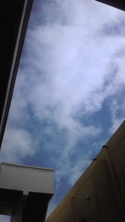 今日の空