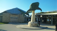 国営沖縄記念公園 海洋博公園 沖縄美ら海水族館