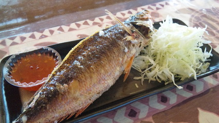 海人料理 亀ぬ浜