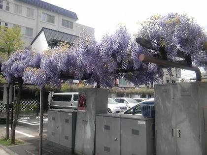 縄手通り