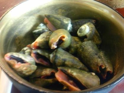 中華ビストロ 楊香亭（ランチ）