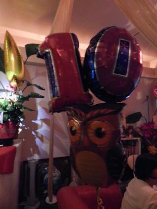 BAR Owl