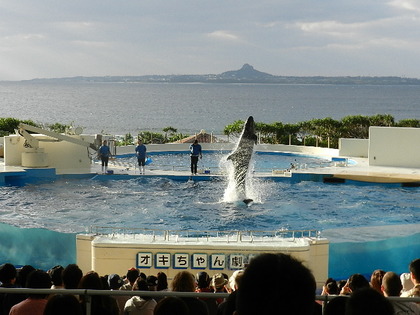 国営沖縄記念公園 海洋博公園 沖縄美ら海水族館