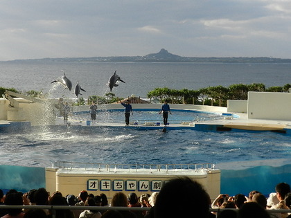 国営沖縄記念公園 海洋博公園 沖縄美ら海水族館