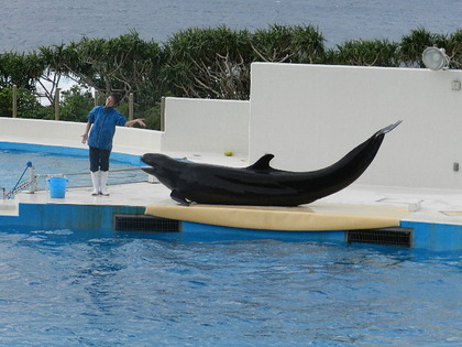 国営沖縄記念公園 海洋博公園 沖縄美ら海水族館