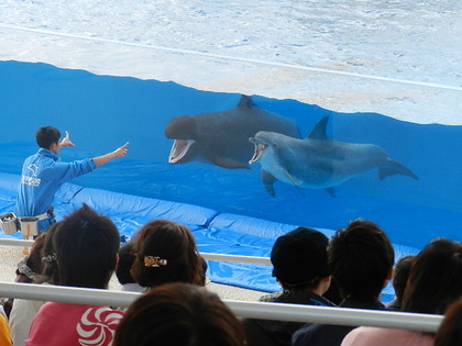 国営沖縄記念公園 海洋博公園 沖縄美ら海水族館
