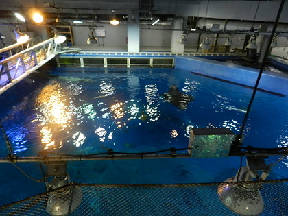 国営沖縄記念公園 海洋博公園 沖縄美ら海水族館