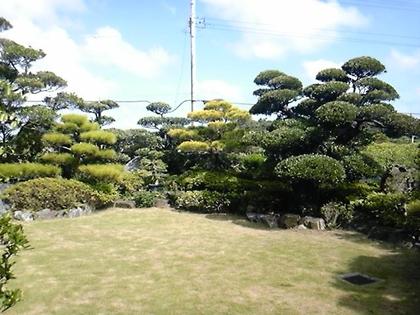 百美そば